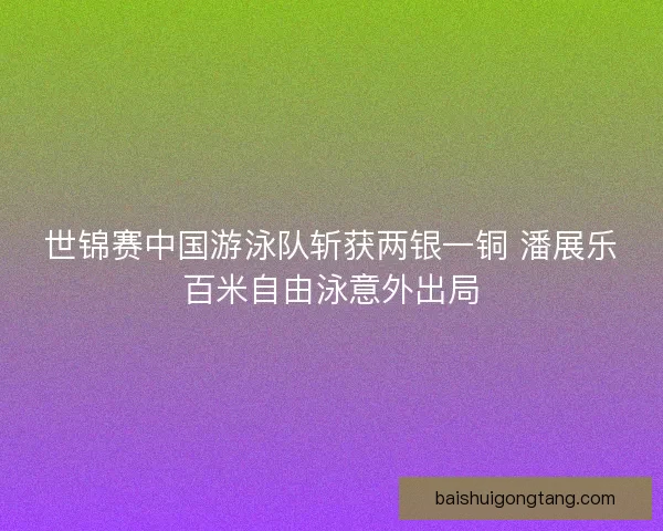 世锦赛中国游泳队斩获两银一铜 潘展乐百米自由泳意外出局