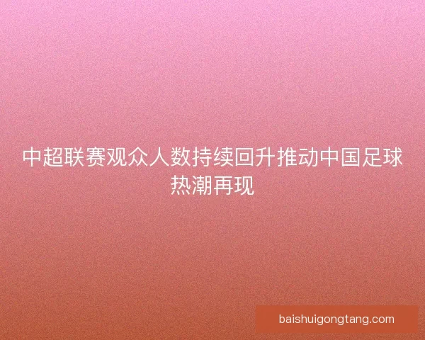 中超联赛观众人数持续回升推动中国足球热潮再现